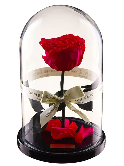 Стабилизированные цветы в стекле Forever Roses Moscow Роза 1250 гр