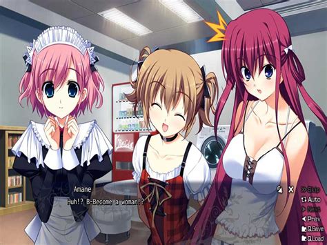 It's the first game in you'll need 9 save slots to go through this guide. Buy The Fruit of Grisaia CD KEY Compare Prices - AllKeyShop.com