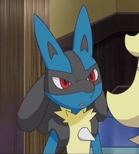 Dog Pokemon Lucario Pokemon Pikachu Pokemon Pocket Wild Pokemon