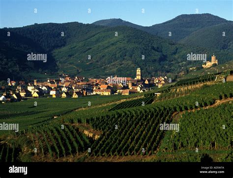 France French Alsace Wine Winery Vintage Harvest Hi Res Stock