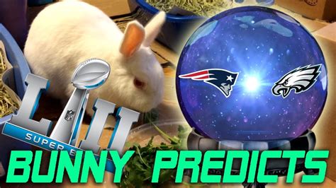 Bunny Predicts Super Bowl Lii Winner 2018 Youtube