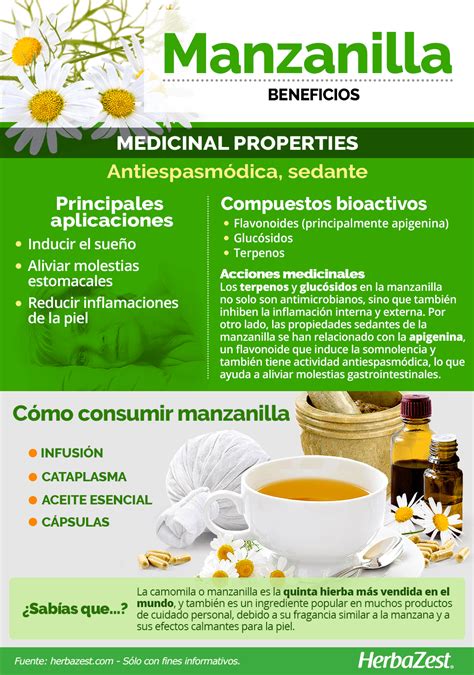 Consejos Utiles Para Ti Usos De La Manzanilla Para La Salud My Xxx
