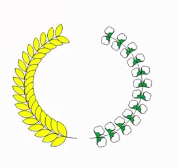 Logo Padi Kapas Vector Koleksi Gambar