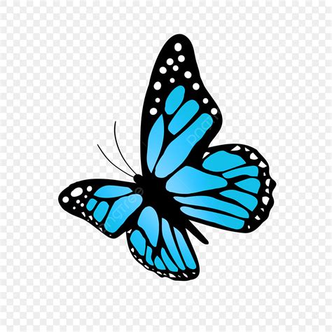 Blue Monarch Butterfly Clipart Vector Monarch Butterfly Clipart