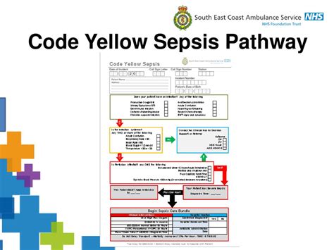 Andy Collen Consultant Paramedic Ppt Download