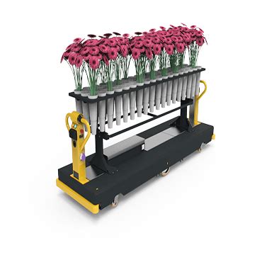 Strawberries are delicate fruits requiring careful picking. Latest Flociculture Harvesting Machinery: Harvesso