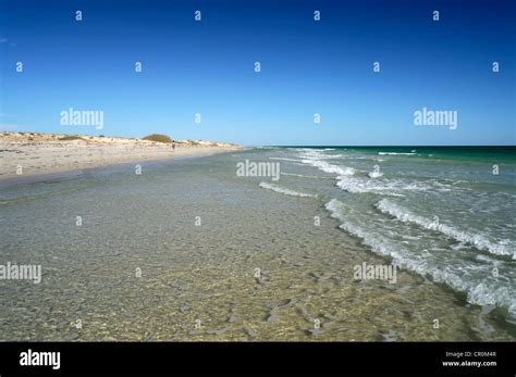 Beach On Djerba Island Tunisia Maghreb North Africa Africa Stock