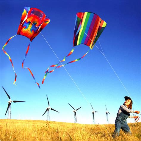 New Colorful Parafoil Kite With 200cm Tails 30m Flying Line Outdoor