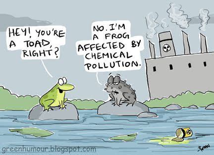 11 best invirmentle polution images on Pinterest | Environmental