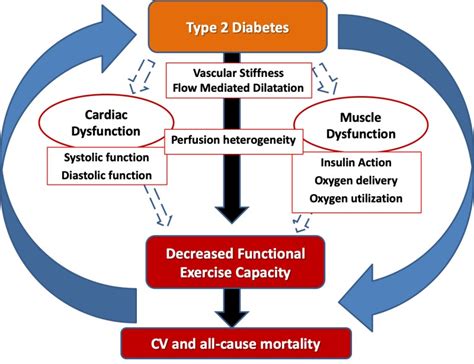 The Role Of Exercise In Diabetes Endotext Ncbi Bookshelf