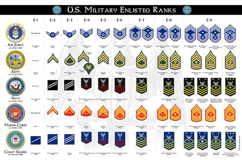 Us Military Insignia Chart Gallery Of Rank Structure And Insignia Of