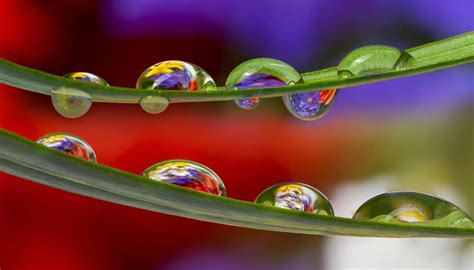 Capturing The World In A Water Drop Learn Photography By Zoner Photo