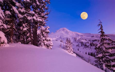 Download Moon Tree Snow Mountain Nature Winter Hd Wallpaper