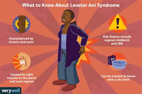 Una descripción general del síndrome del elevador del ano Medicina Básica