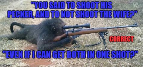 The Friendly Neighborhood Sniper Monkey Doin What Sniper Monkeys Do