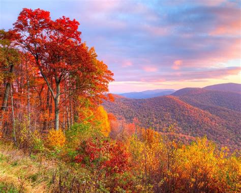 Autumn Reflections Autumn Destinations National Parks Shenandoah