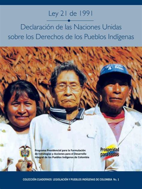 Ley21 1991 Declaracion Onu Derechos Pueblos Indigenas