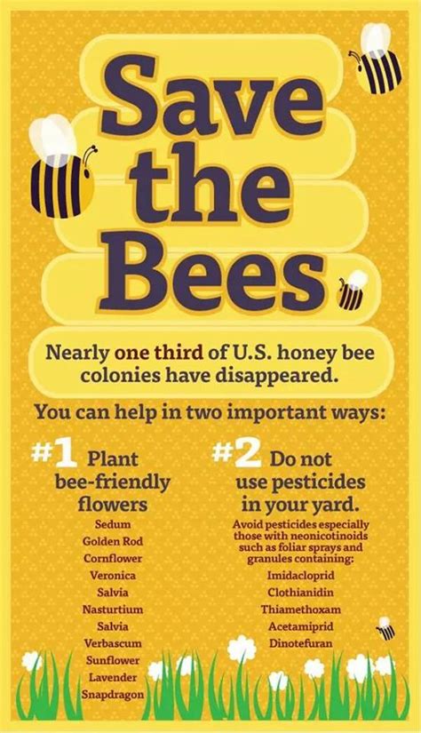 Help Save The Honeybees The Bee Happy Company