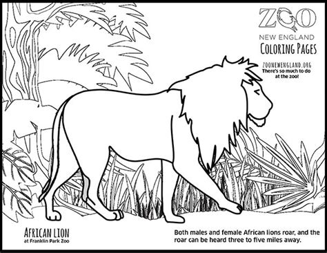 Zoo New England Coloring Pages