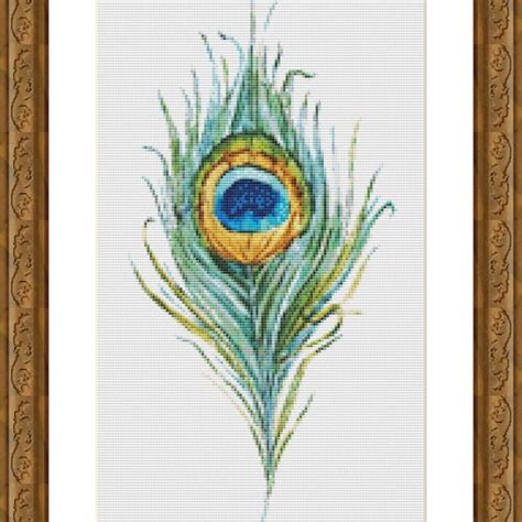 peacock feather cross stitch pattern etsy