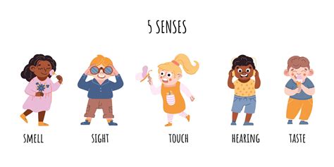 Children Five Senses Consept Sense Of Sight Touch Hearing Smell