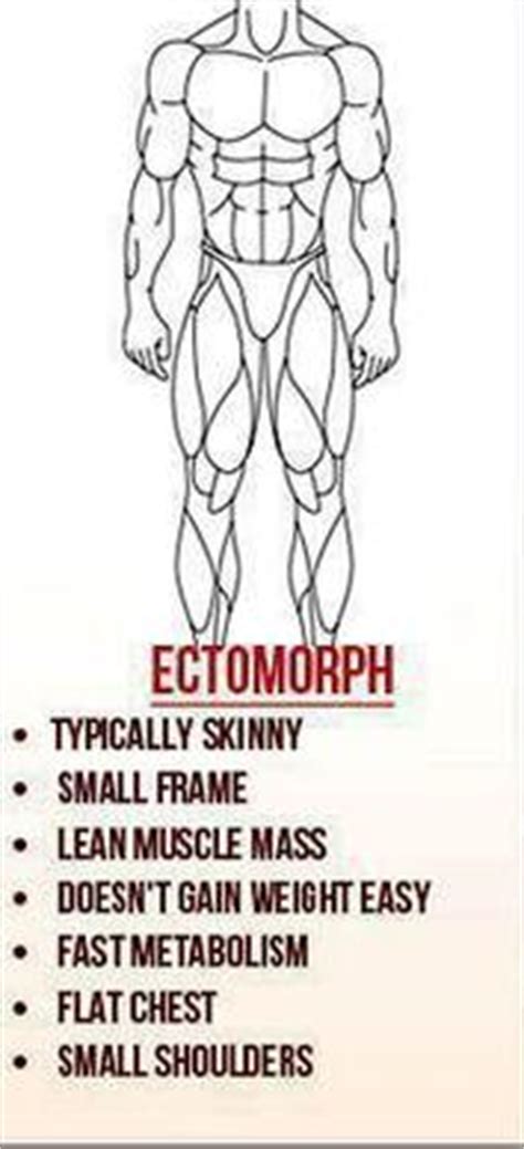 Ectomorph - Health Related