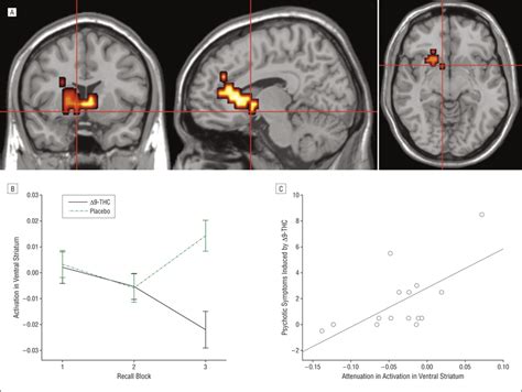 Effect Of Δ9 Tetrahydrocannabinol Δ9 Thc On Brain Activation During