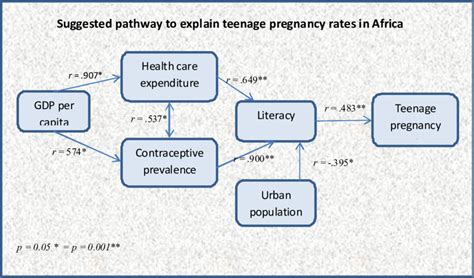 Suggested Pathway To Explain Teenage Pregnancy In Africa Download Scientific Diagram