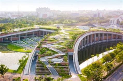 Thammasat University Asias Largest Organic Rooftop Farm Times