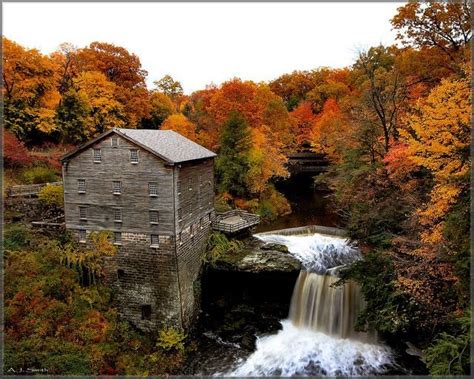 We have specialty firewood for the best grilling, smoking listen folks, if you need firewood, call cutting edge firewood in atlanta, ga. ..beautiful Mill Creek Park, Youngstown, Ohio | Mill creek ...