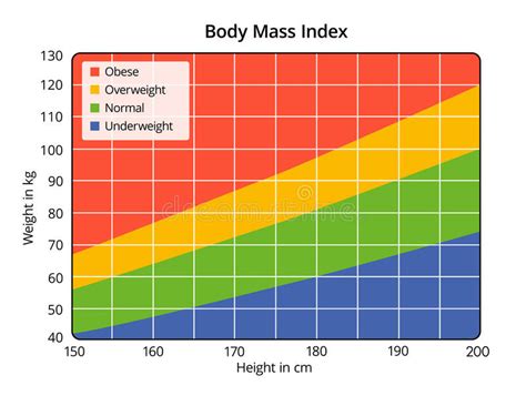 The Facts About Body Mass Index