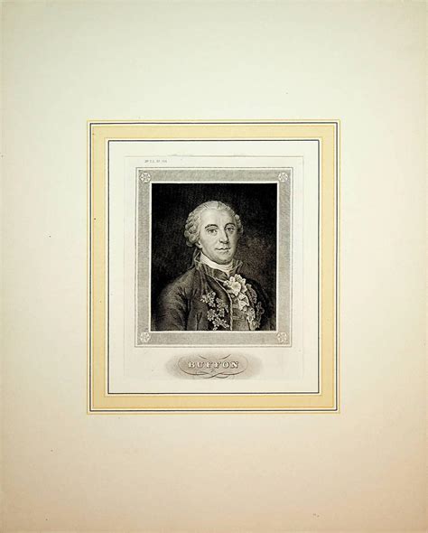 Buffon Georges Louis Leclerc Comte De Buffon 1707 1788 Naturaliste