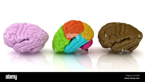 Brains Surgery Hi Res Stock Photography And Images Alamy