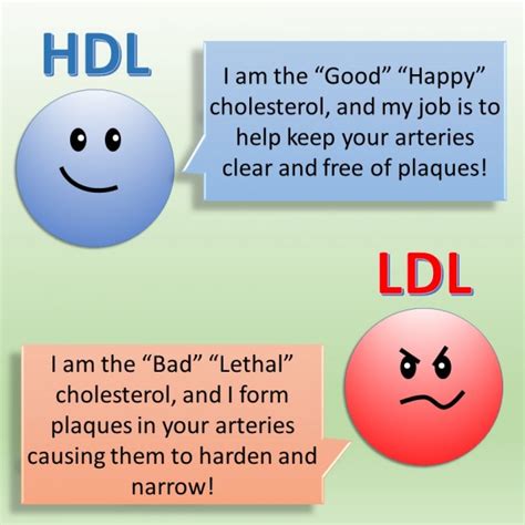 10 Differences Between Ldl And Hdl Public Health Notes