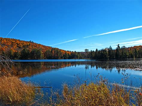 Autumn Waterscape In Fall Colours Lake Mirror Landscape In A Forest W