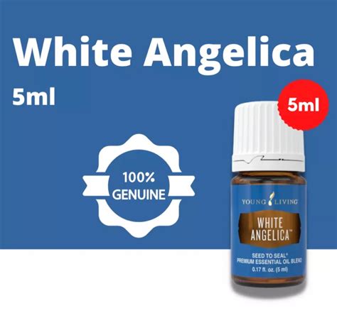 Young Living Essential Oil White Angelica 5ml Furniture And Home Living