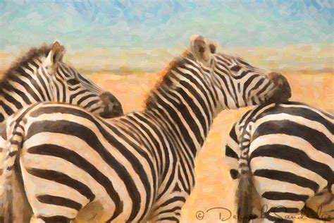Zebras Digital Art Deborah Sandidge