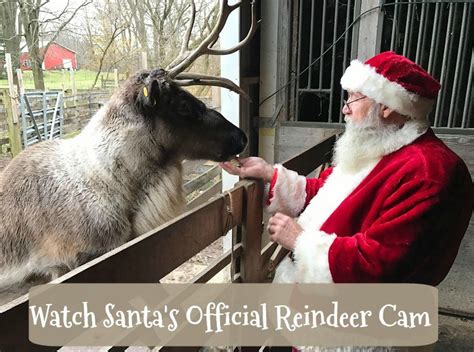 watch santa s official reindeer cam every day