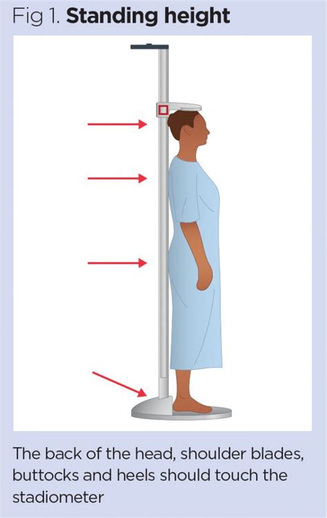Accurate Measurement Of Weight And Height 2 Height And Bmi Calculation Nursing Times