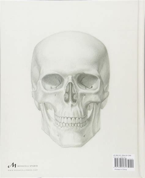 Roberto Osti Basic Human Anatomy Ebay