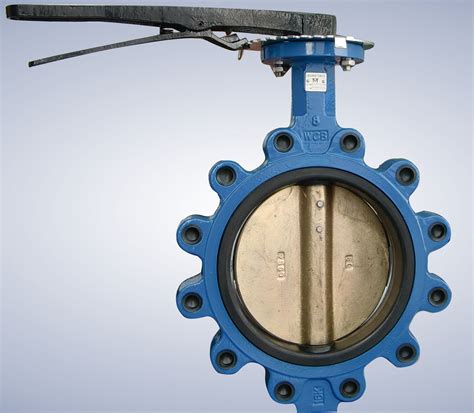 Resilient Seated Butterfly Valve Wds02series China Butterfly Valve