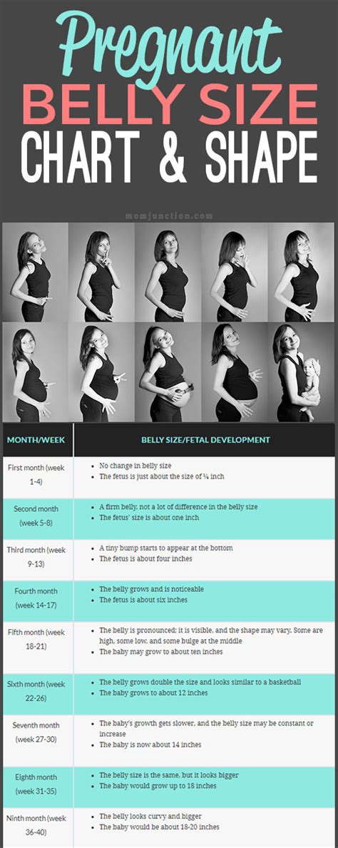 Pregnant Belly Measurements Chart
