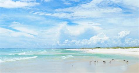 Best Beaches On The Florida Gulf Coast The Top Beaches On Floridas