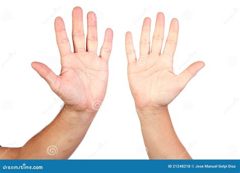 Two Palms Stock Photo Image Of Girl Greeting Body 21248218