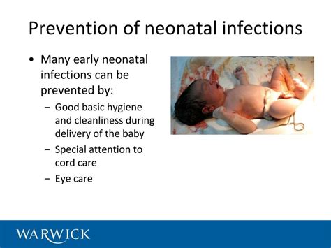 Ppt Serious Maternal And Neonatal Infections In The Local Context