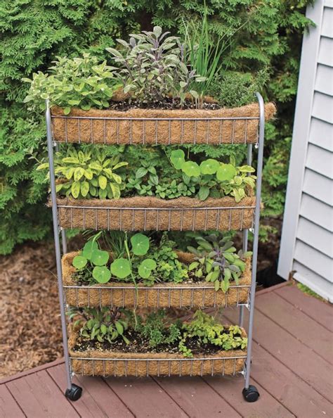 Clever Vertical Herb Gardens That Will Grow A Lot Of Herbs
