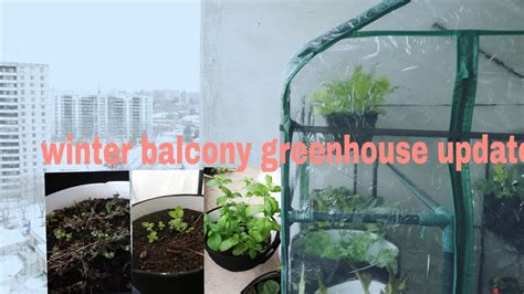 Winter Balcony Greenhouse Update Youtube