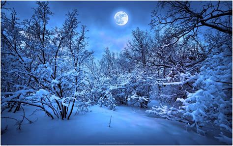 Winter Night Wallpapers Top Free Winter Night Backgrounds