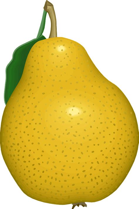 Pear Clipart Free Download Transparent Png Creazilla