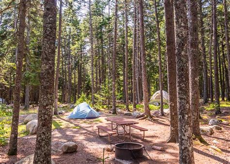 Acádia National Park Camping Guide • James Kaiser Hi Quality